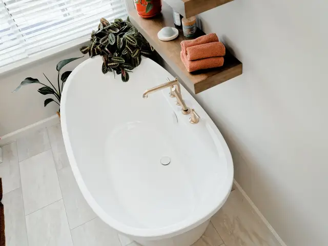 Overhead view of the freestanding bathtub and gold-tone fixtures beside the window.